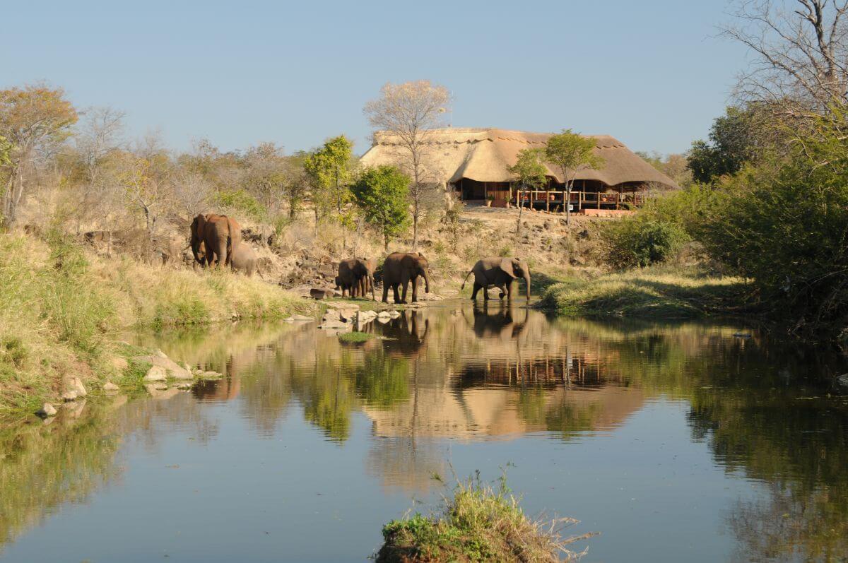 The Wallow Lodge - Heartveld Adventures